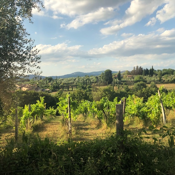 Welcome 👋🏻 - Picture 2 of 5